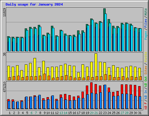 Daily usage for January 2024