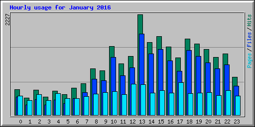 Hourly usage for January 2016