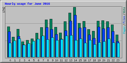 Hourly usage for June 2016