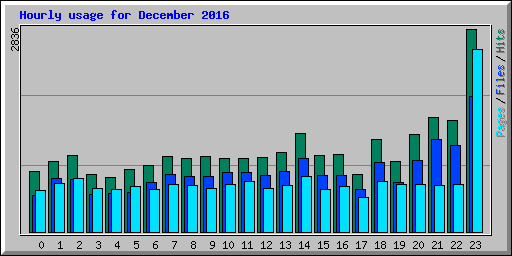 Hourly usage for December 2016