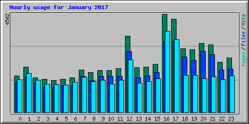 Hourly usage for January 2017