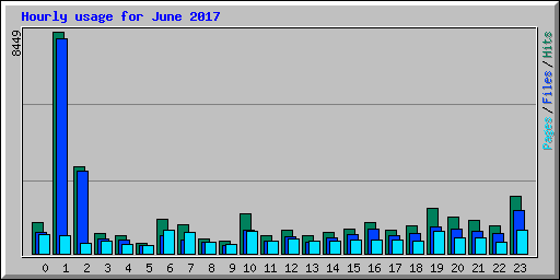 Hourly usage for June 2017