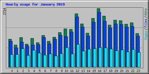 Hourly usage for January 2019