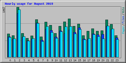 Hourly usage for August 2019