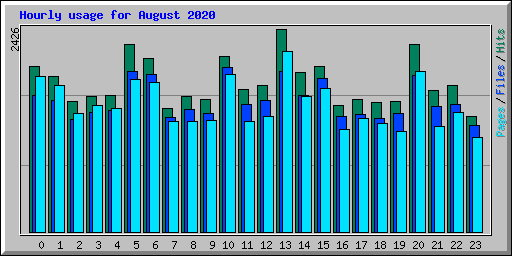 Hourly usage for August 2020