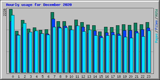 Hourly usage for December 2020