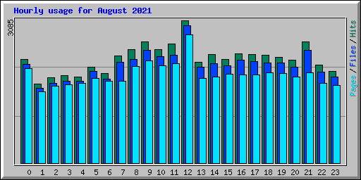 Hourly usage for August 2021