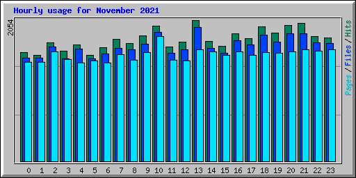 Hourly usage for November 2021