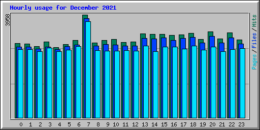 Hourly usage for December 2021