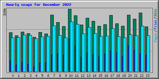 Hourly usage for December 2022