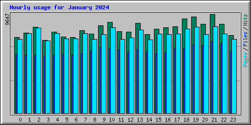 Hourly usage for January 2024
