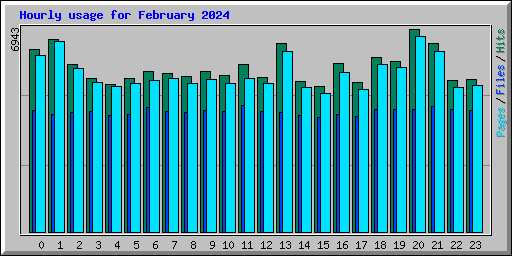 Hourly usage for February 2024