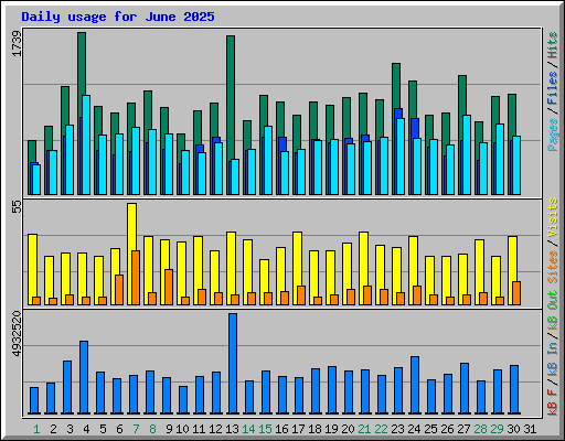 Daily usage for June 2025