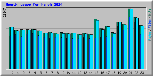 Hourly usage for March 2024
