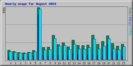 Hourly usage for August 2024