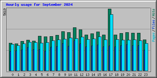 Hourly usage for September 2024