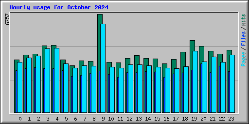Hourly usage for October 2024
