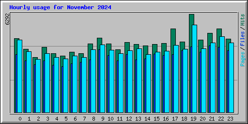 Hourly usage for November 2024