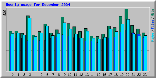 Hourly usage for December 2024