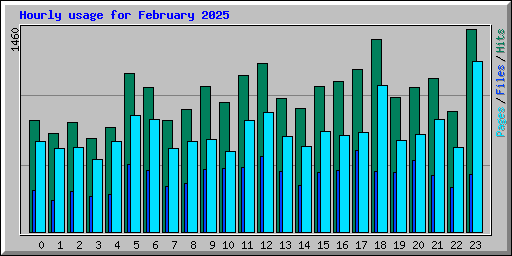 Hourly usage for February 2025